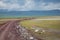 animals near the road in the crater of the Ngorongoro volcano in Tanzania