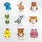 Animals origami paper art collection