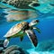 Animals reptilian of the ocean background Closeup of sea turtle underwater photography water diving holiday coral reef
