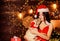 Animals rights. Little cutie. Puppy dog. Happy new year. Merry christmas. Attractive woman lovely pet. Sensual girl in