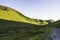 Animals on rural road in scenic mountain valley,Uk.