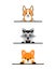 Animals set. Corgi, Racoon, Fox. Cute vector illustration