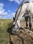 Animals. Side view of a gray horse on a background of a blue sky with white clouds.