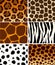 Animals skins textures