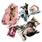 Animals sleeping top view cats Hippo dog belly up around blanket bedding towels and pillows