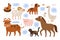 Animals sounds. Farm birds and livestock talking. Kids educational pictures. Barking dog and meowing cat. Horse or ram