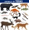 animals of Texas: black bear, puma, lynx, deer,  skunk, bat, Bass fish, armadillo, fox, Mockingbird, barn owl, garter snake, opos