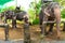 Animals In Thailand. Thai Elephants With Ride Saddles. Travel, T