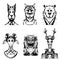 Animals, tiger, deer, goat, wolf bear head vector