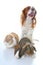 Animals together. Real pet friends. Rabbit dog guinea pig animal friendship. Pets loves each other. Cute lovely cavalier king char