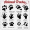 Animals Tracks - vector set