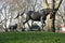 The Animals in War Memorial-Hyde Park