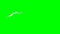 Animated angel wings - green screen