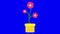 Animated blooming process of pink flower in yellow flowerpot.