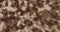 Animated Digital Stained Camouflage Pattern Background Sepia