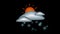 Animated icons of clouds, sun, rain, snow for weather forecasts.