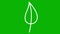 Animated linear white leaf. Icon of plant. Symbol is drawn gradually. Concept of organic food, ecology, agronomy, harvest.