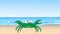 Animated little crab on the seashore.