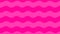 Animated magenta waves background. Looped video. Decorative pink waves gradually moves.