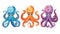 Animated modern octopuses on a white background with suckers on their hands. Cartoon ocean invertebrates with tentacles.