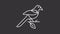 Animated oriental magpie white icon