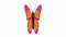 Animated pink orange butterfly flaps. Looped video.