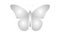 Animated silver butterfly flaps wings. Looped video.