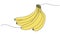 animated single line drawing of bunch of bananas