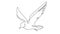 animated single line drawing of a flying seagull