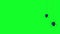 Animated small spiders. Green background.