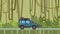 Animated SUV car with luggage on the roof trunk riding through the rainforest. Moving off-road vehicle on jungle forest