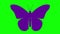 Animated violet butterfly flaps wings. Looped video.