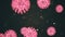 Animated virtual representation of covid19 coronavirus cells inside infected organism. Pathogens are moving in the form