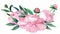 Animated watercolor pink peony. Bouquet with flowers and leaves appears from center screen.
