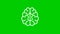 Animated white symbol of brain. Concept of idea and creative isolated on green background.