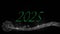 Animation of 2025 text in green with snowflake and new year fireworks in night sky