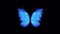 Animation blue butterfly wing on black background.