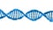 animation of building a DNA cell.