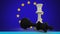 Animation of chess figures over flag of eu
