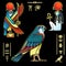 Animation color drawing: set of images of sacred Egyptian Falcon bird. Animal and human.