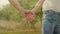 Animation of couple holding hands standing in green field in countryside over silhouettes of three C