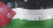 Animation of data processing over flag of palestine