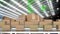 Animation of data processing over stacks of cardboard boxes on conveyor belts in warehouse