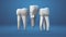 Animation of the dental implants