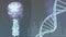 Animation of dna helix with digital human, brain and spine over abstract background