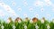 Animation of easter bunnies over easter eggs in spring grass and blue sky