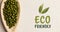 Animation of eco friendly text in green over fresh organic green sprouts on wooden boards