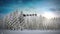 Animation of father christmas in sleigh silhouette flying over snowy trees in winter scenery