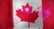 Animation of fireworks over flag of canada