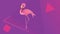 Animation of flamingo over violet background with geometrical shapes